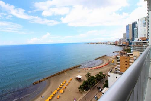 Edificio  Palmetto 1