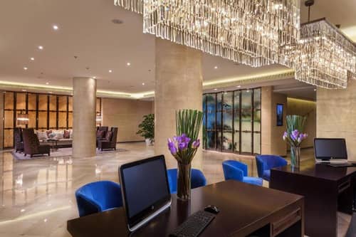 Savills Residence Daxin Shenzhen Bay