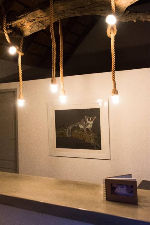 Bushbaby River Lodge