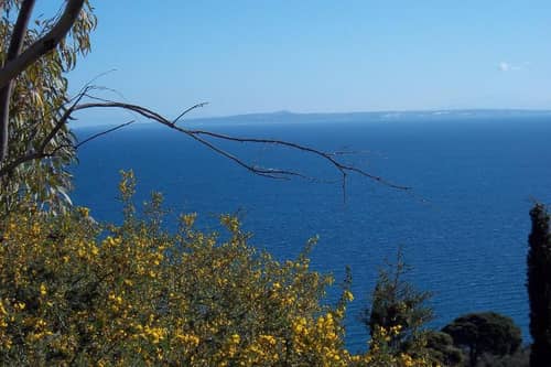 Arazzo Holiday Apartments