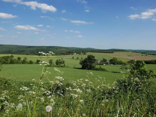 Hotel Dachsbaude & Kammbaude