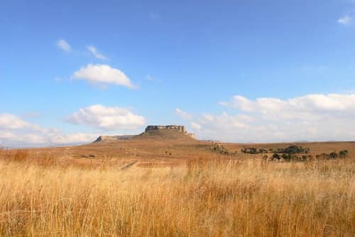 First Group Qwantani