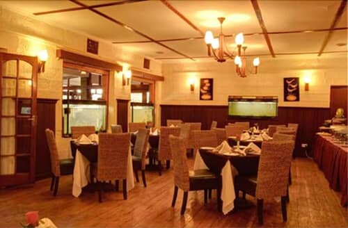 The White Rhino Hotel