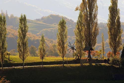 Hotel-Restaurant Staribacher
