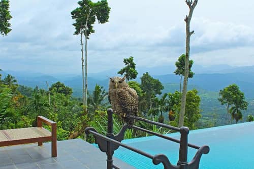 Aarunya Nature Resort & Spa