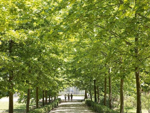 Grecotel LUXME Costa Botanica