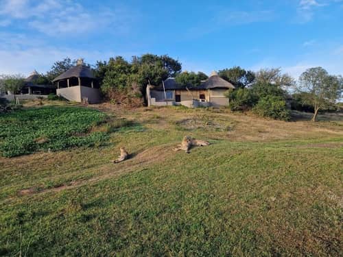 Amakhala Safari Lodge-Amakhala Game Reserve