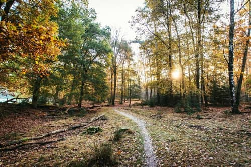 Van der Valk Hotel Apeldoorn - De Cantharel