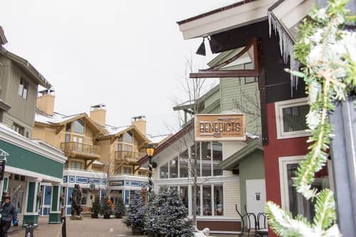 Vantage Point At Stratton Mountain