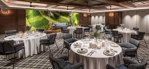 THE LIVELY FUKUOKA HAKATA