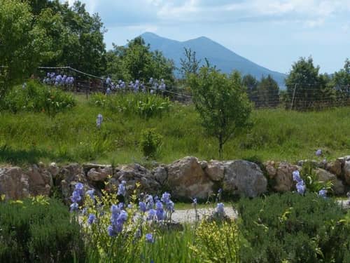 La Ferme du Petit Ségriès