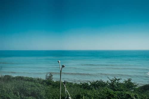 Ocean Paradise