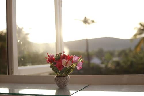 Purple Place Homestay - Hostel