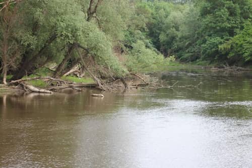 Winzerhof Küssler, Weinviertel