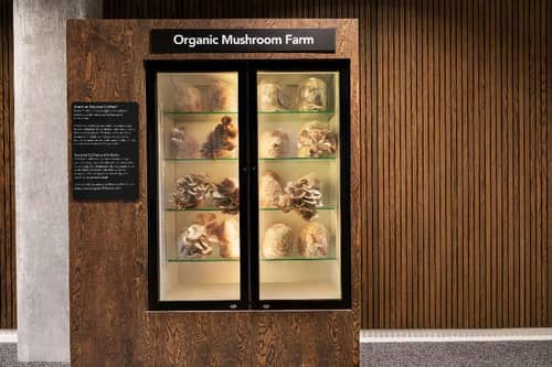 Dolce by Wyndham Comwell Copenhagen Portside