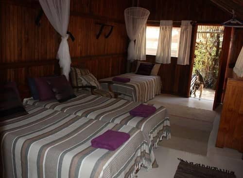 Offbeat Safaris
