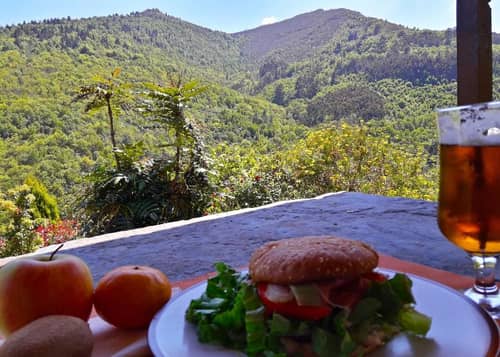 El Bosque de las Viñas