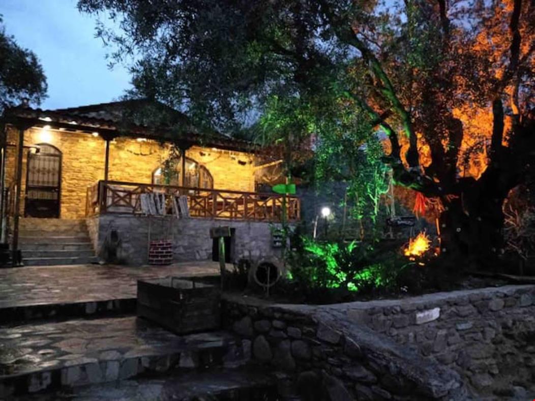 Hayal Tadında