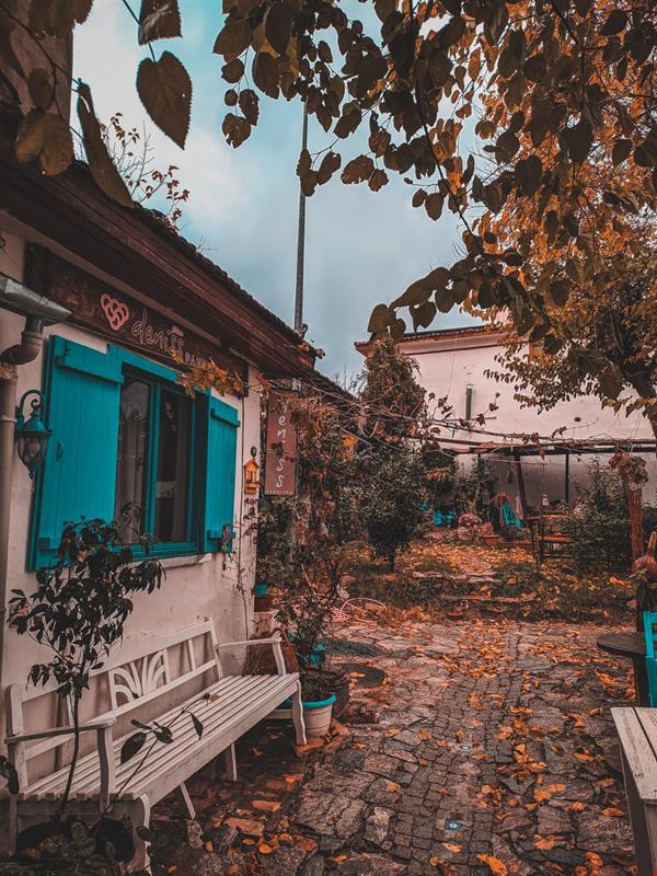 Deniss Pansiyon