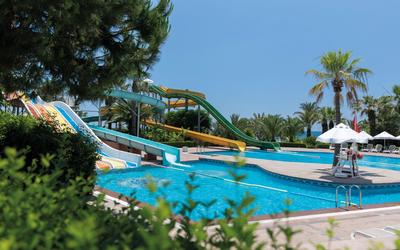 Paloma Oceana