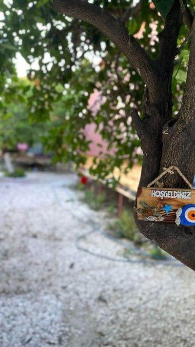 Orange Garden Bungalow