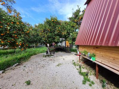 Orange Garden Bungalow