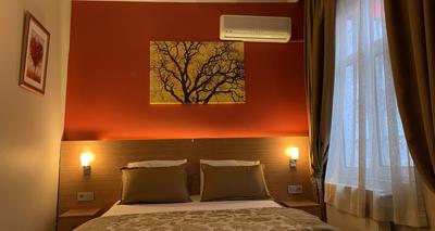 Antique Hostel & Hotel