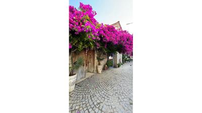Filizce Alaçatı