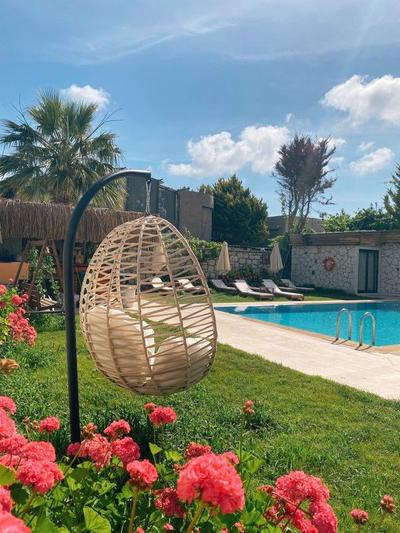 Limon Hotel