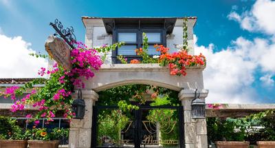 Provence Mansion Alaçatı
