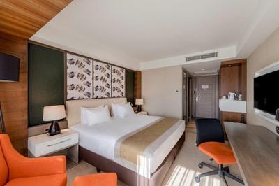 Holiday Inn Kayseri Düvenönü