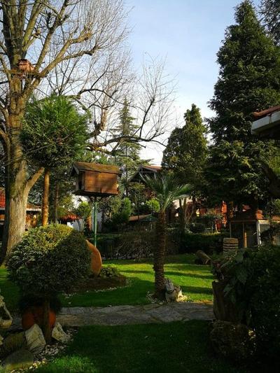 Yener Bungalov