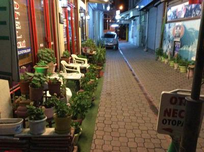 Hotel Necmi