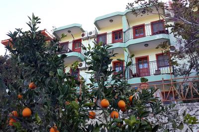 Patara Delfin Hotel