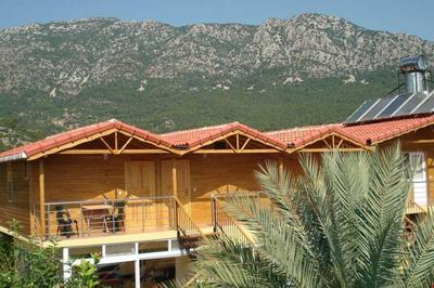 Portakal Bahçesi