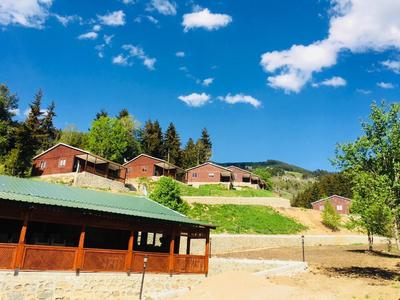 Danzot Tatil Koyu