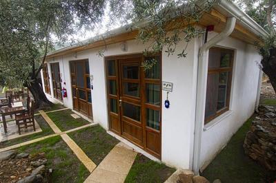 Yiva Kazdaglari