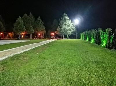 Lepista Garden
