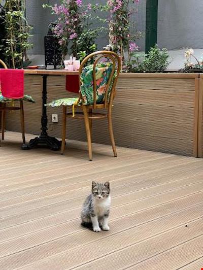 Lina Hotel Taksim Pera
