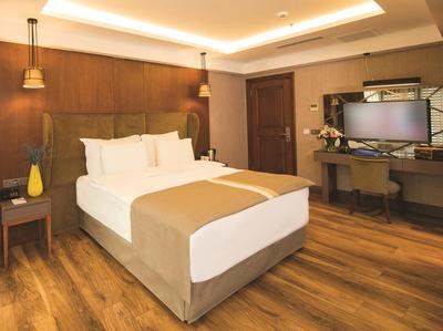 Blueway Historical Hotel