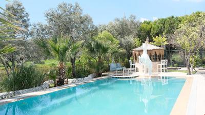 Dream Farm Resort