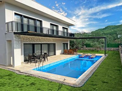 Villa Olive Tree