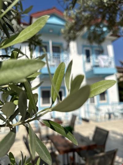 Enjoy Hotel
