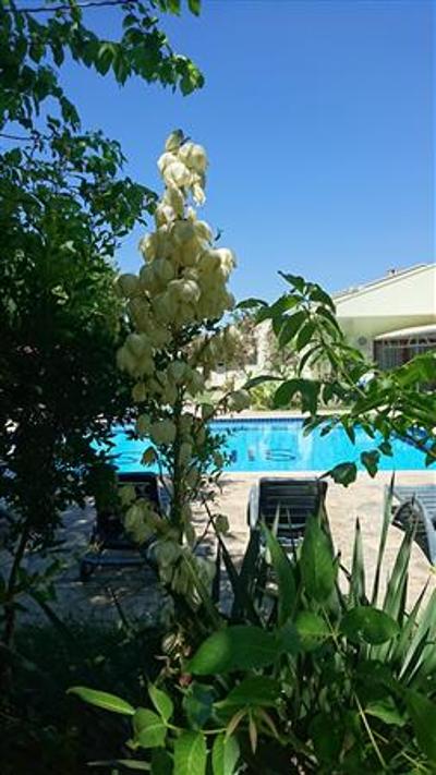 Sirius Hotel