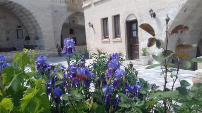 Aziz Cave Hotel