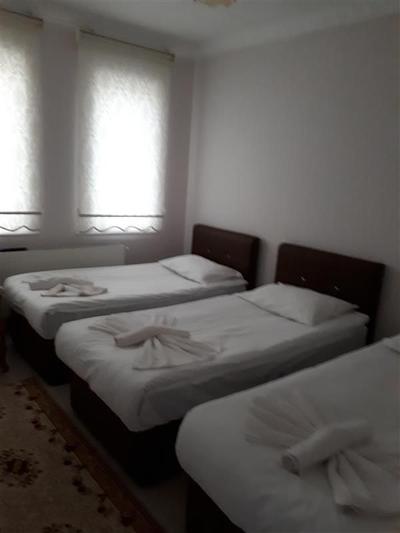Dirilis Banarya Pansiyon