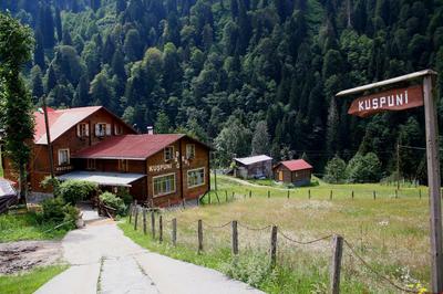 Ayder Kuşpuni Dağ Evi