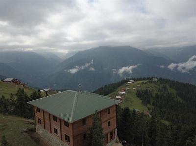 Pokut Orion