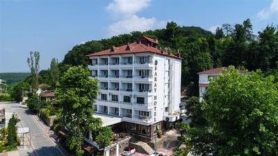 Thermal Saray Hotel & SPA Yalova
