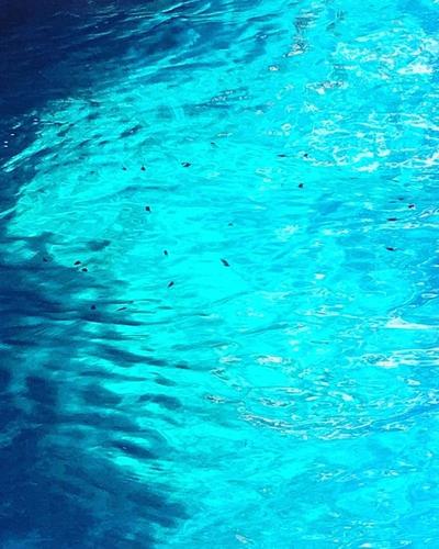 Masal Bahcesi Bungalov